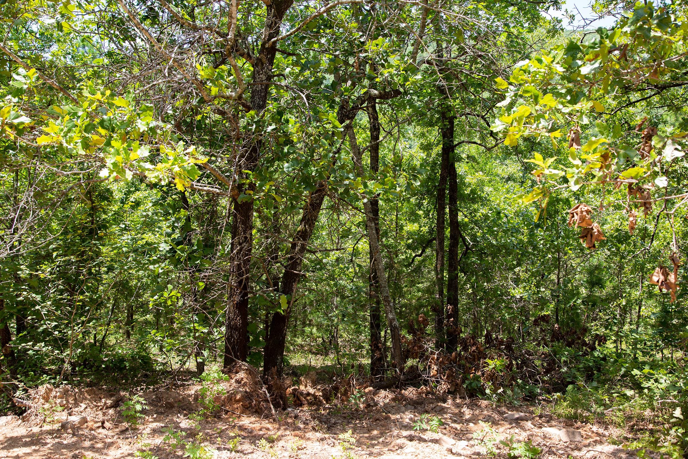 Tyler Stone Ranch Tract 72 photo 8