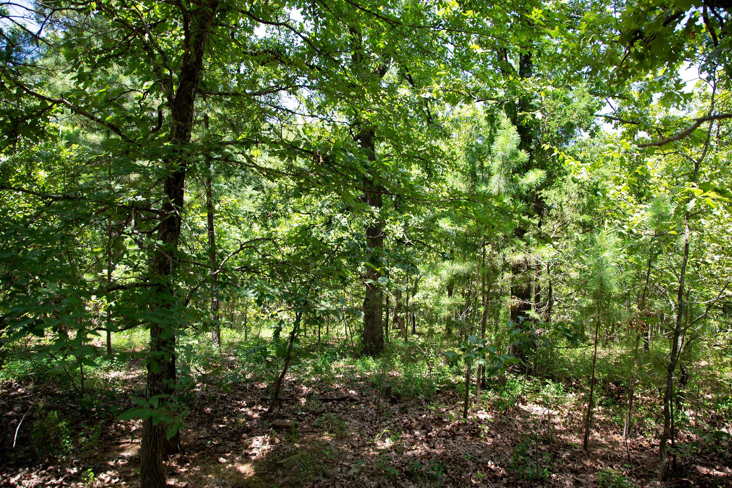 Tyler Stone Ranch Tract 72 photo 9