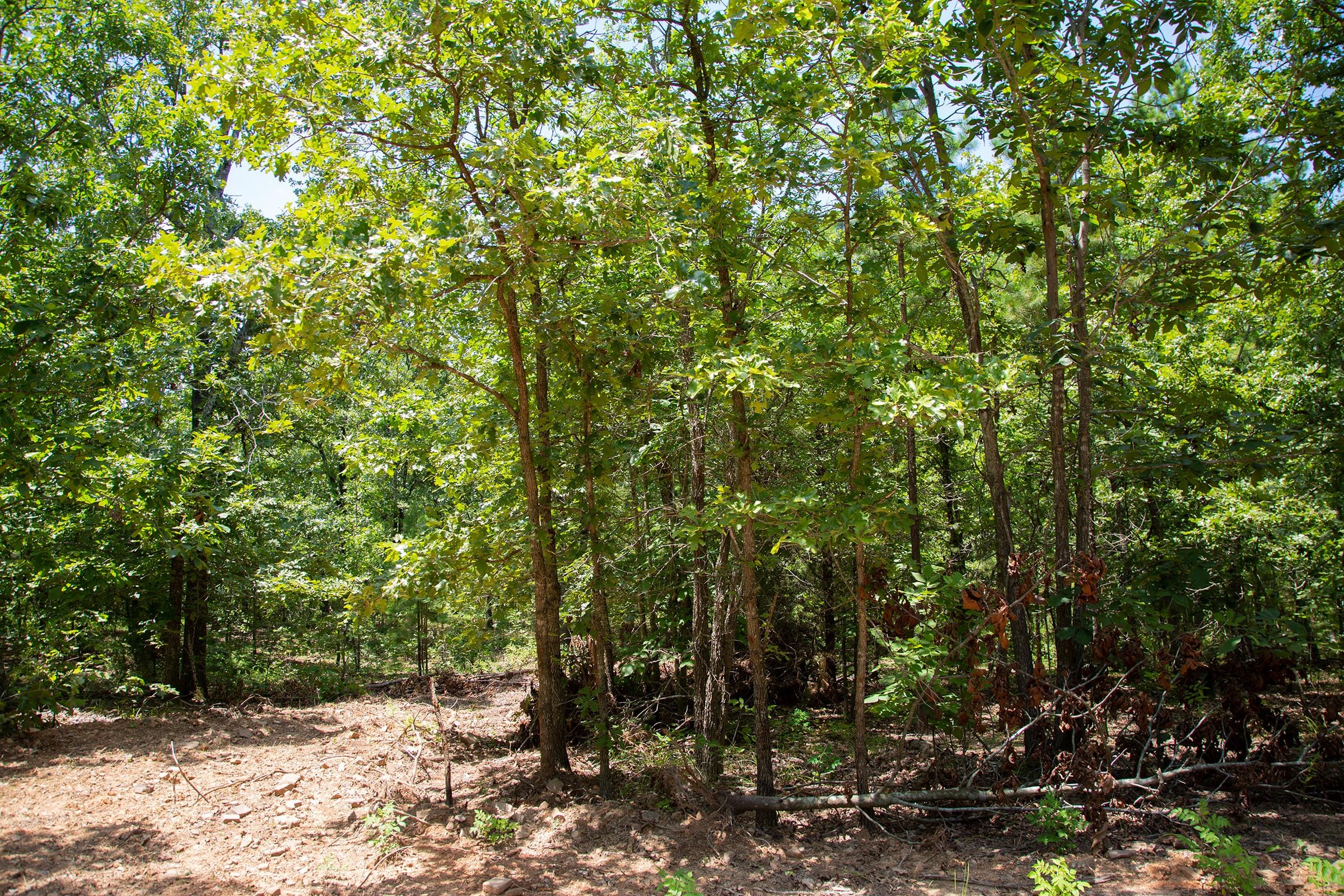 Tyler Stone Ranch Tract 72 photo 10