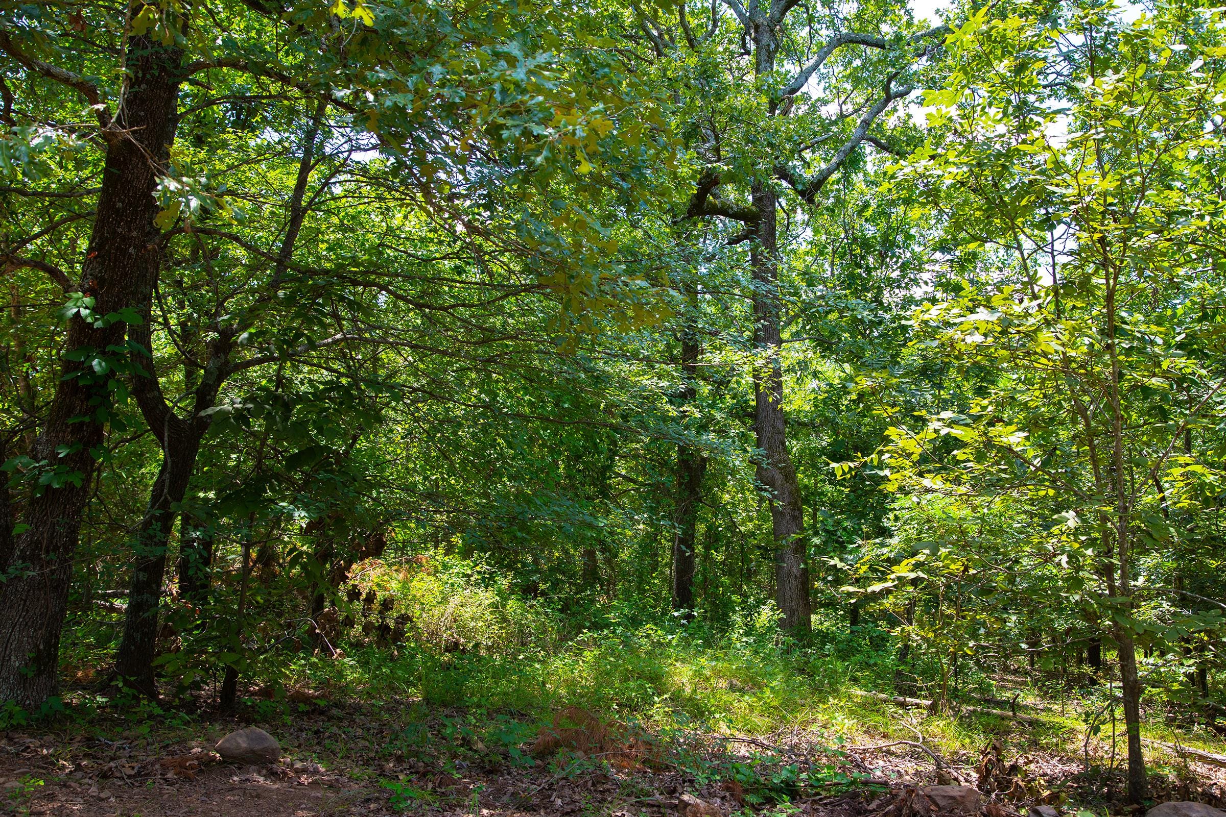 Tyler Stone Ranch Tract 72 photo 11