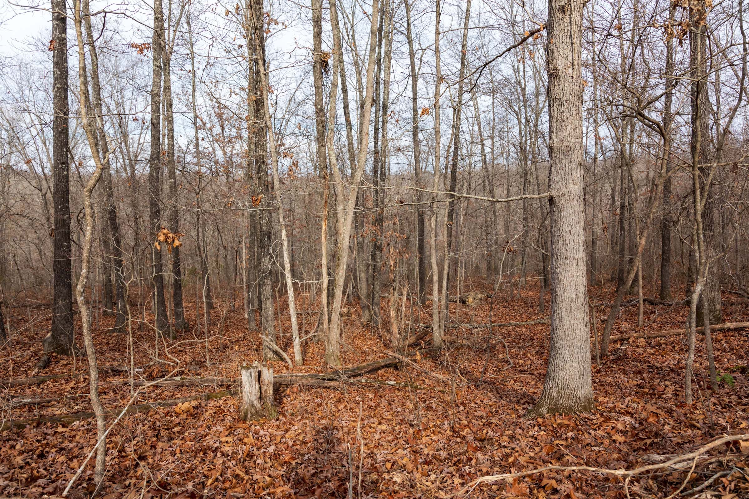 Crossroads Tract 26 photo 3