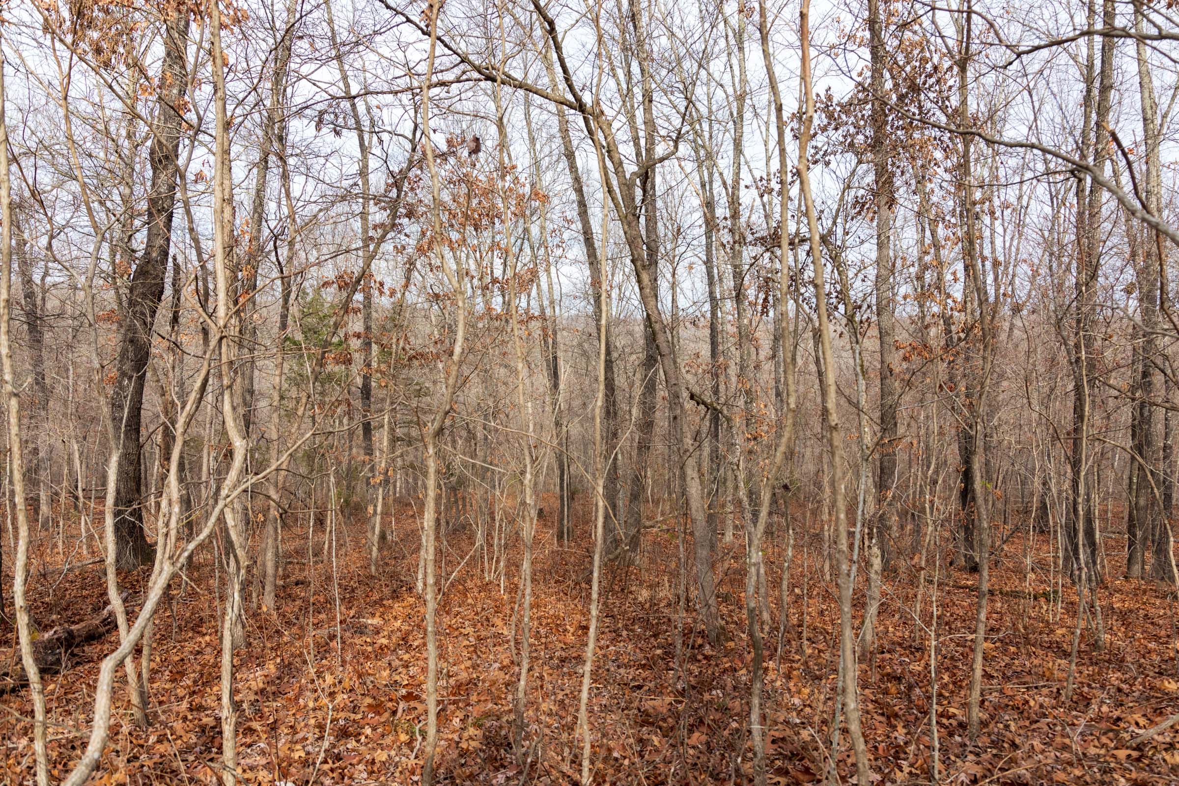 Crossroads Tract 26 photo 4