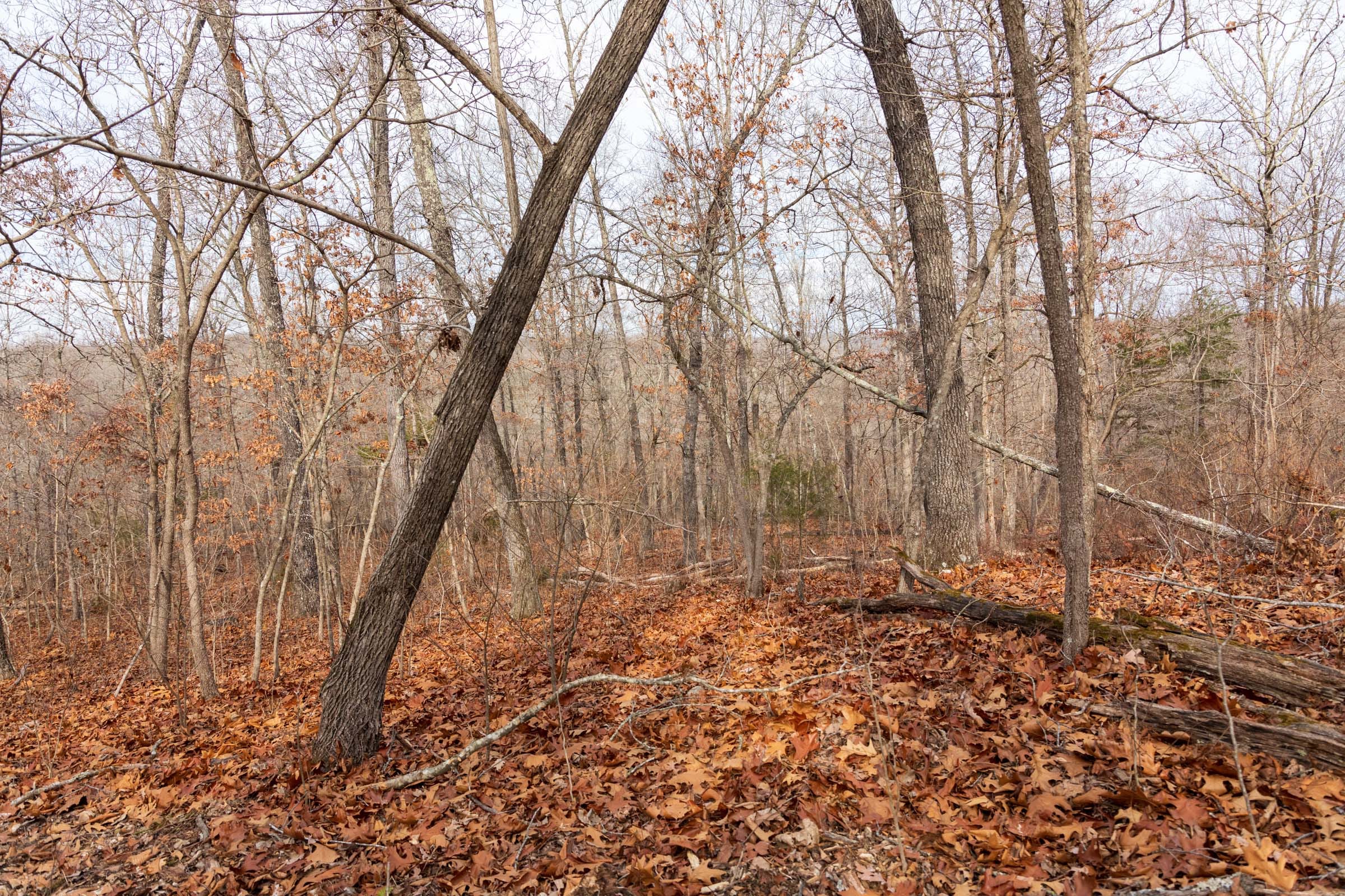 Crossroads Tract 26 photo 5