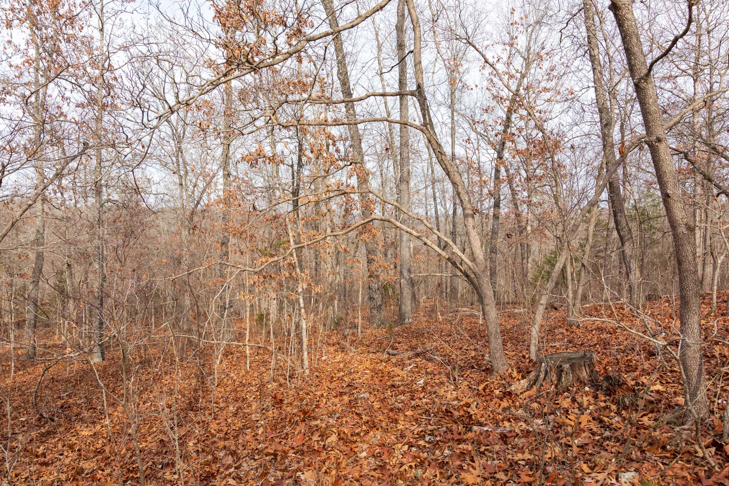 Crossroads Tract 26 photo 6