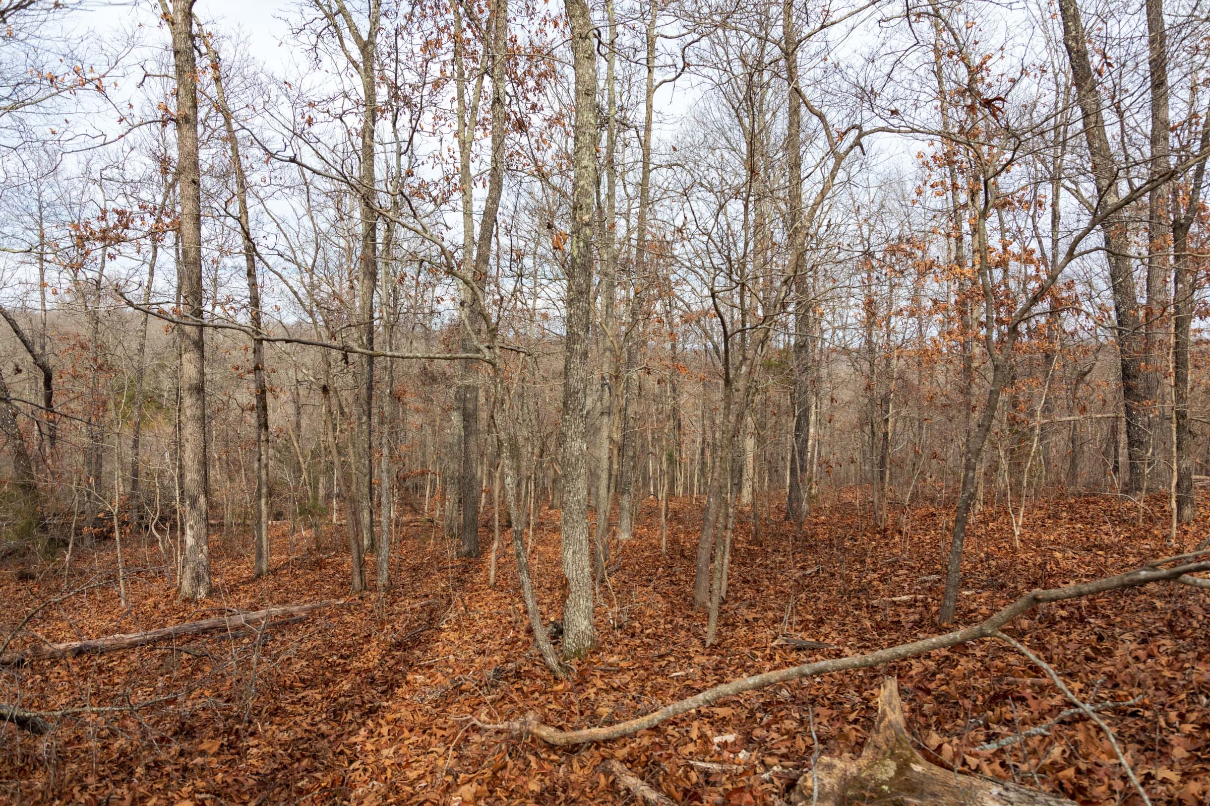 Crossroads Tract 26 photo 7