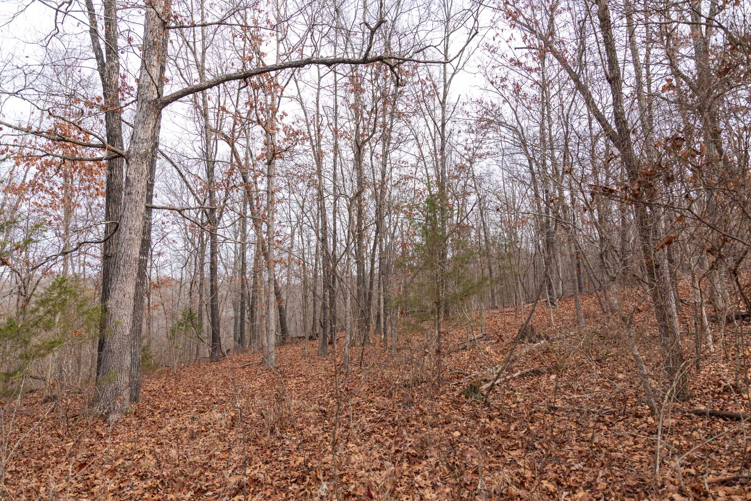 Crossroads Tract 26 photo 8