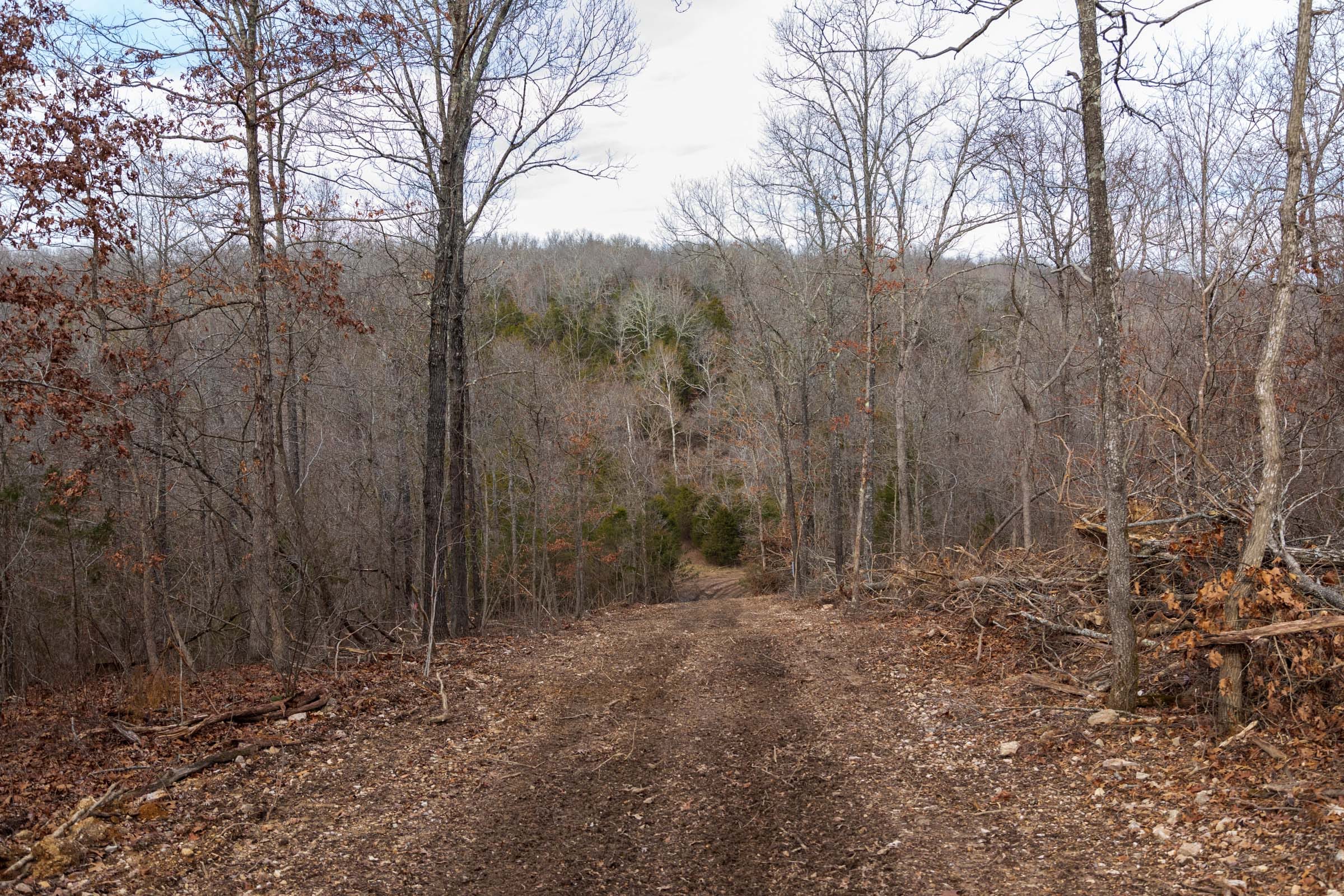 Crossroads Tract 26 photo 9