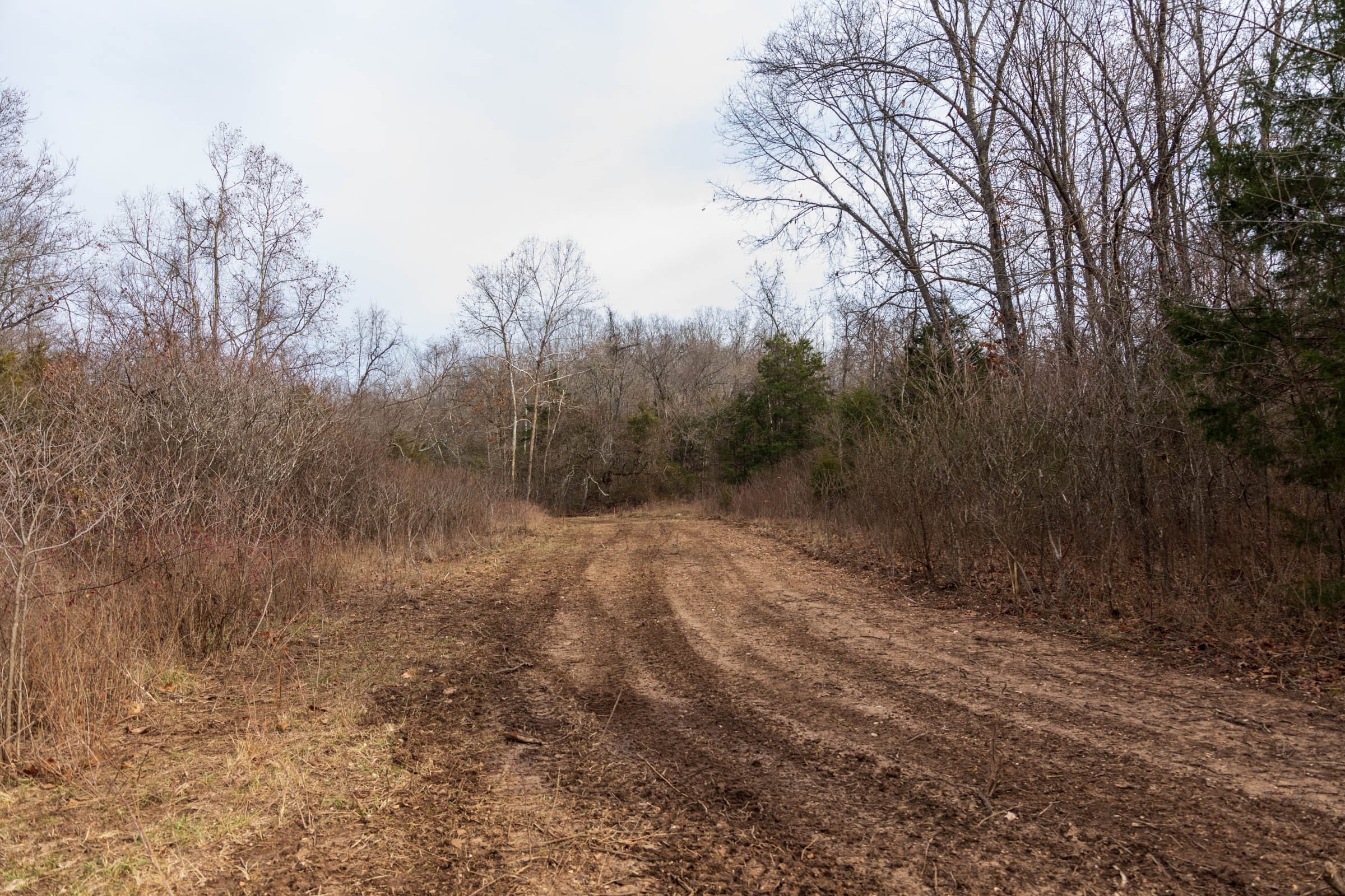 Crossroads Tract 26 photo 11