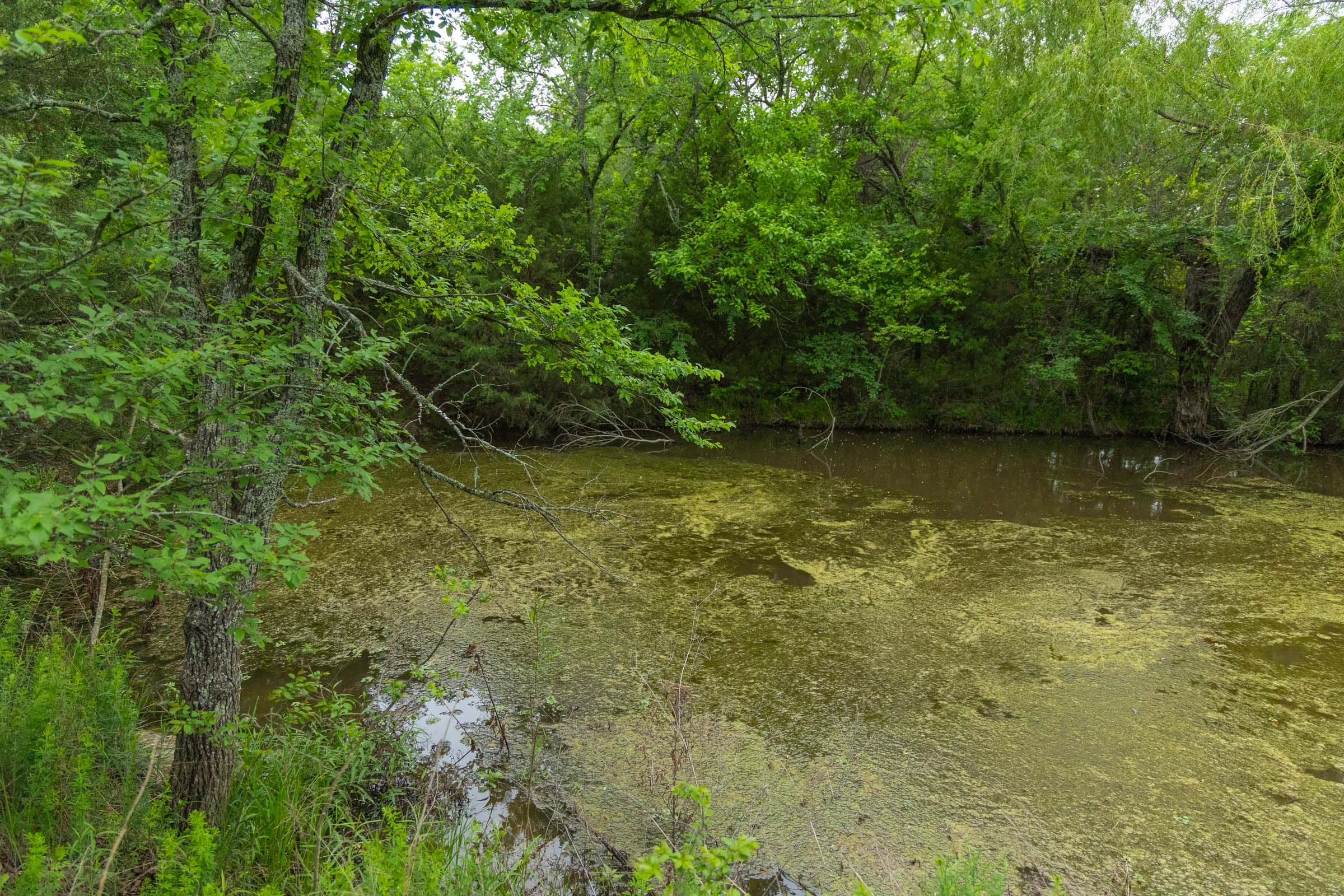 Harmony Hills Tract 5 photo 10