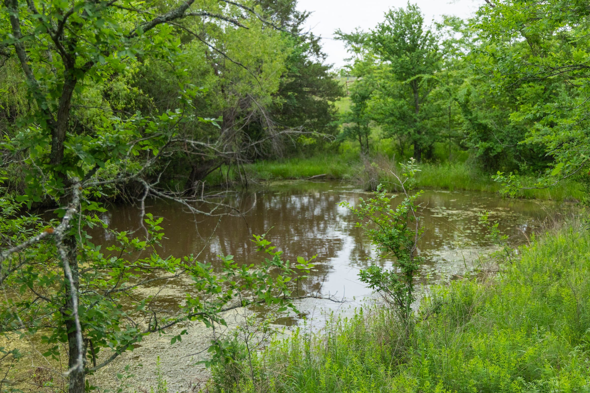 Harmony Hills Tract 5 photo 3