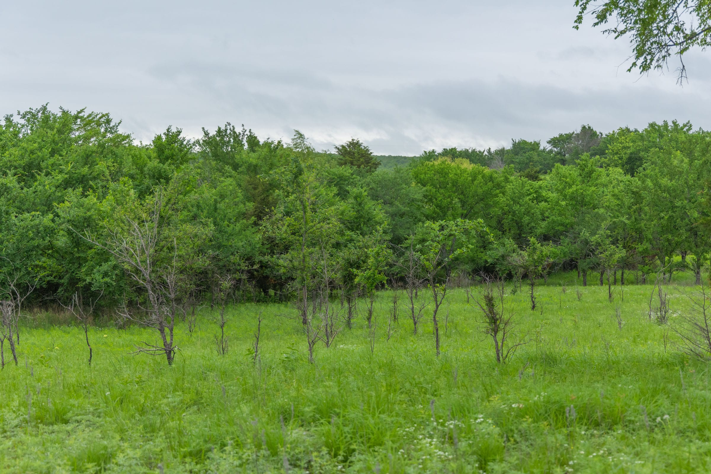 Harmony Hills Tract 5 photo 12