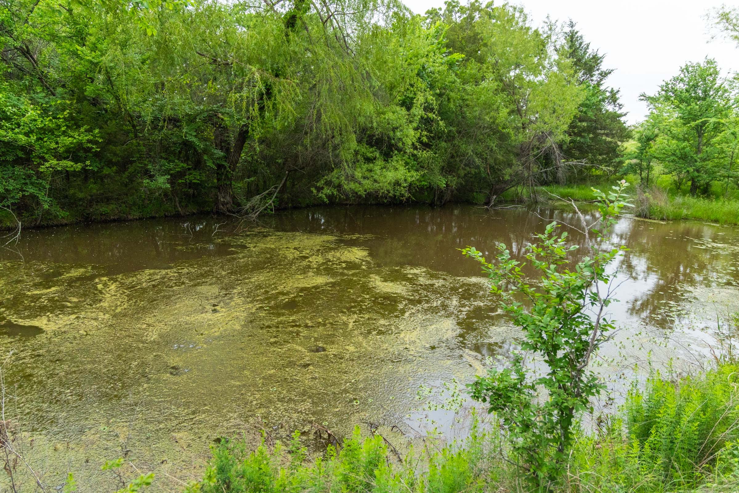 Harmony Hills Tract 5 photo 7
