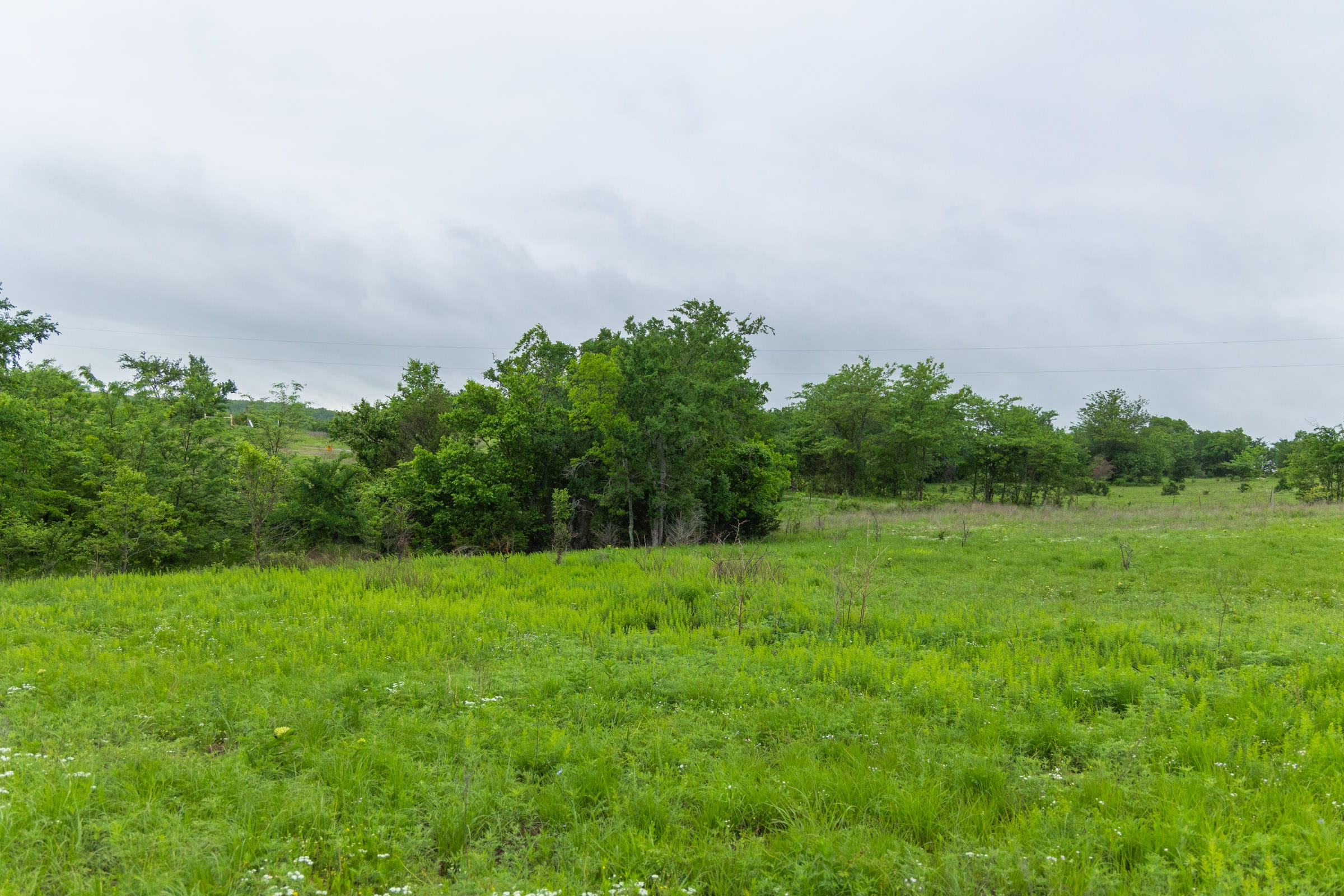 Harmony Hills Tract 5 photo 14