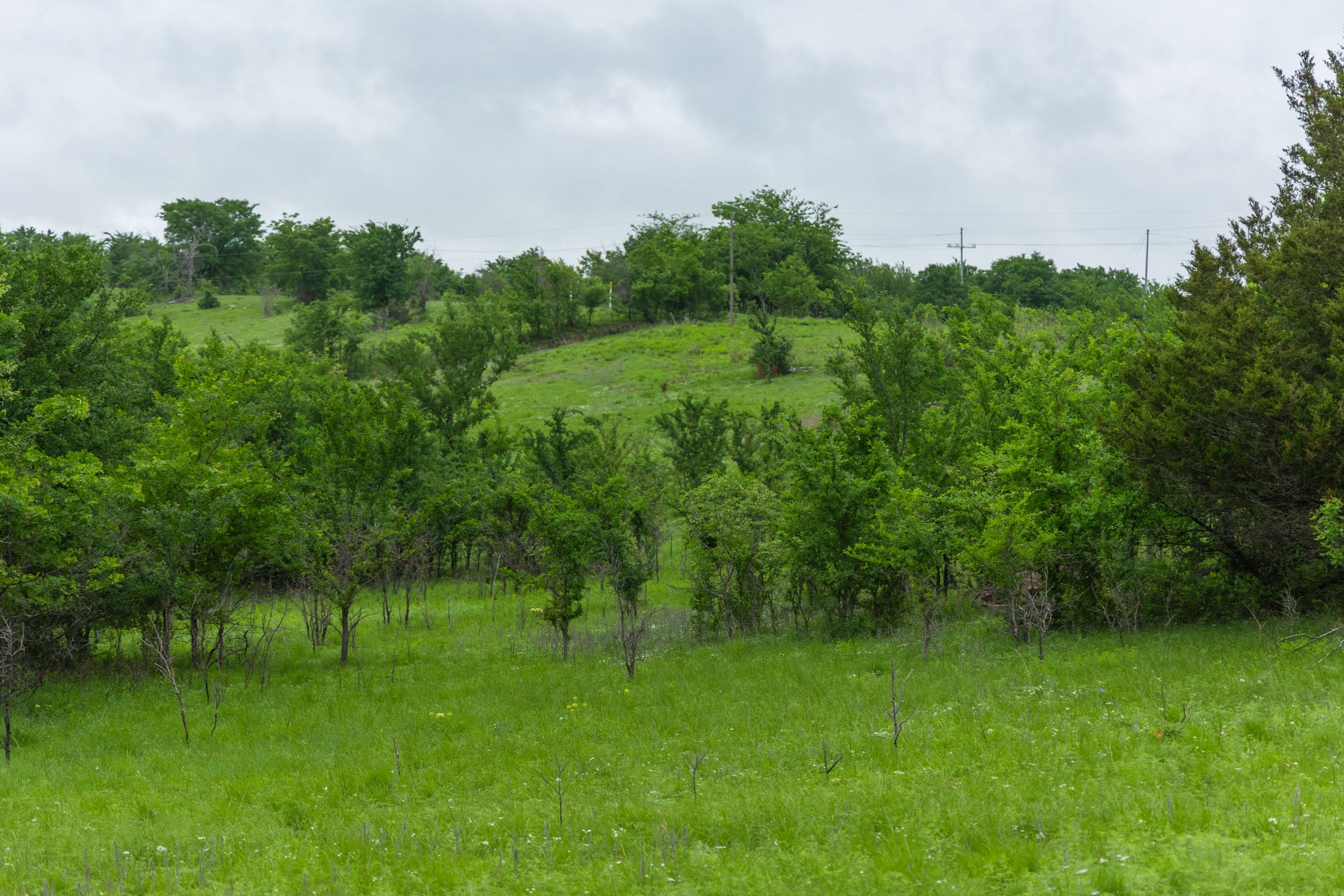 Harmony Hills Tract 5 photo 2