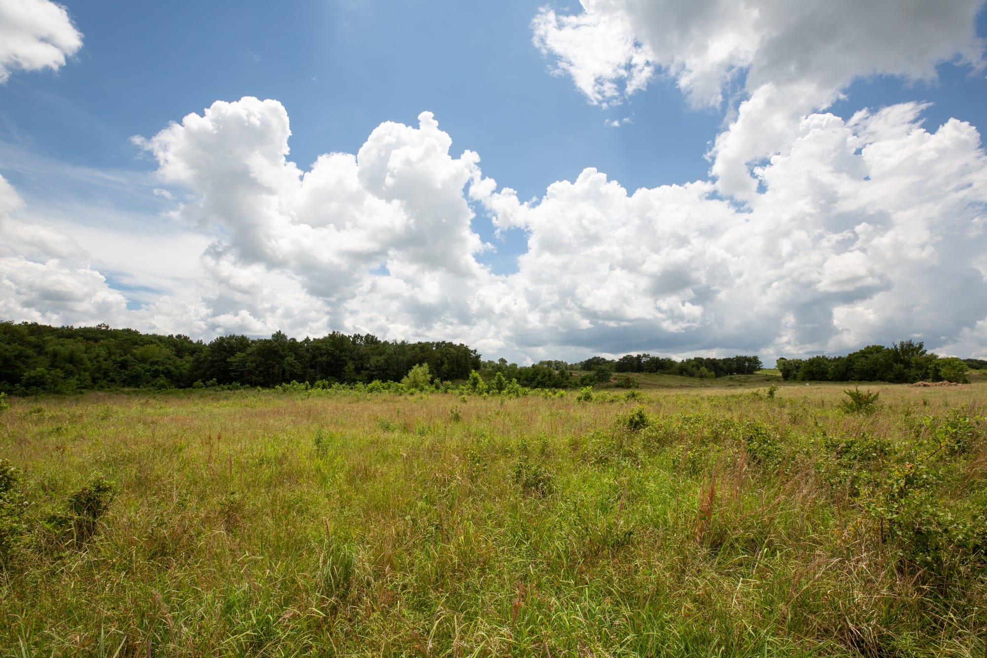 Paradise Valley Tract 9 photo 2