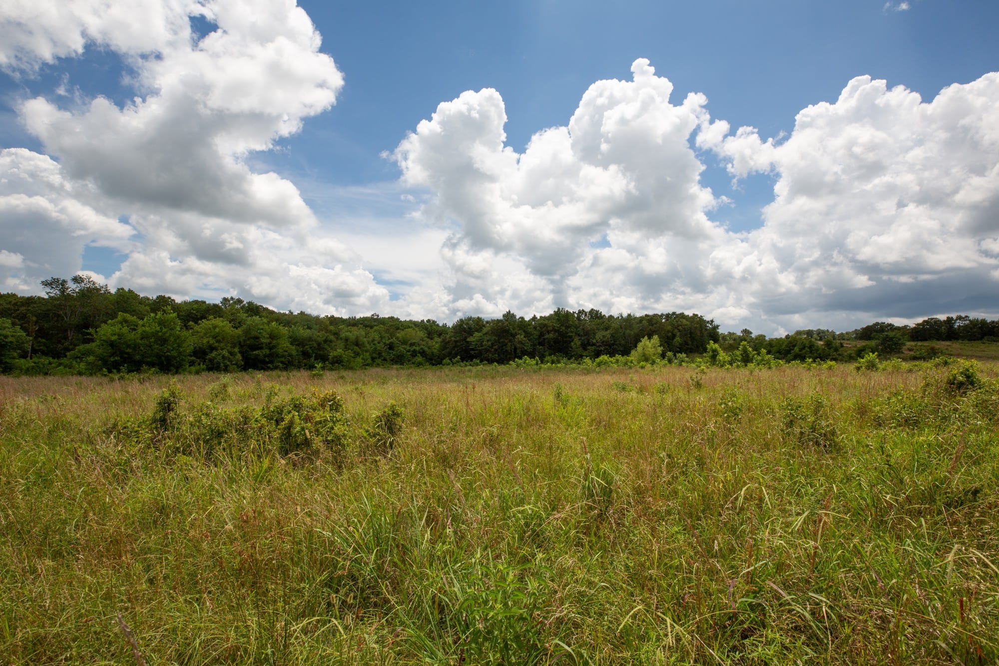 Paradise Valley Tract 9 photo 3