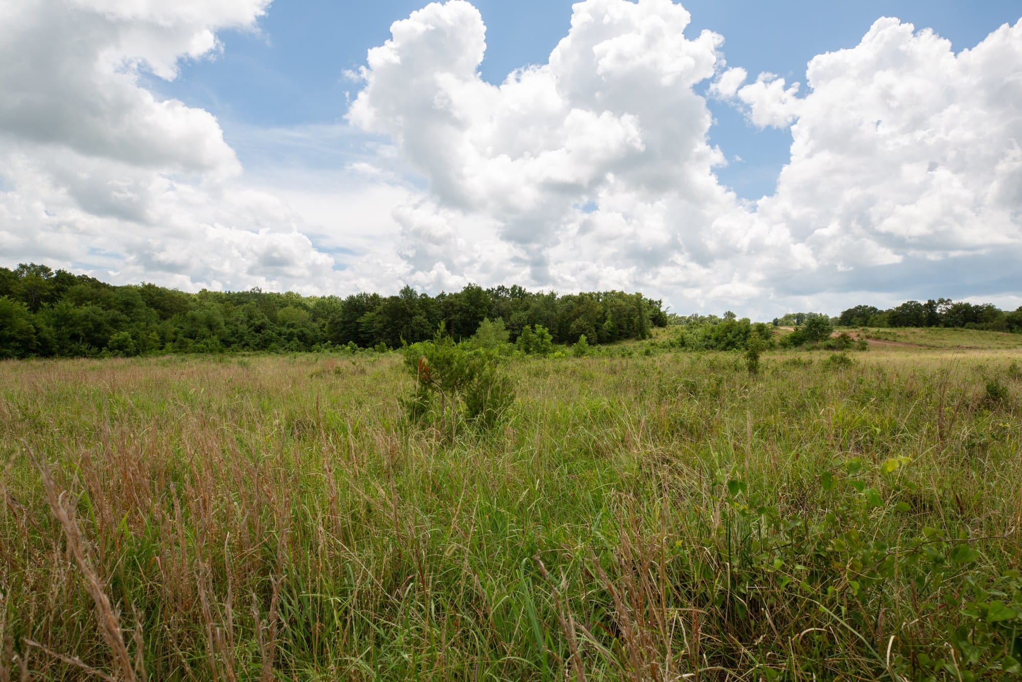 Paradise Valley Tract 9 photo 4