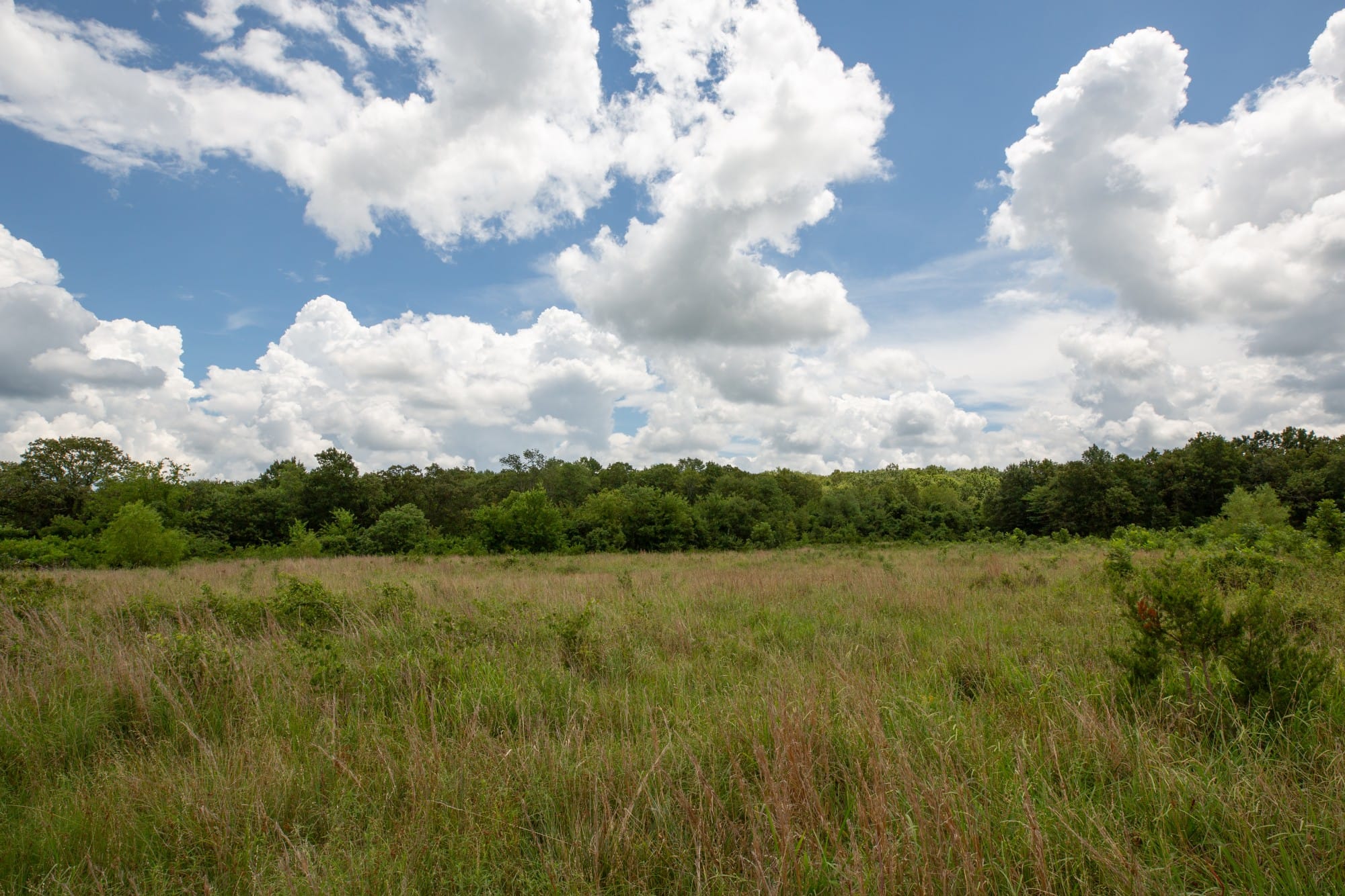 Paradise Valley Tract 9 photo 6