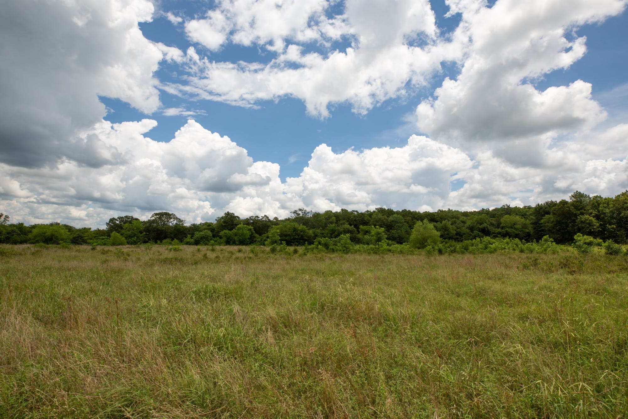 Paradise Valley Tract 9 photo 7
