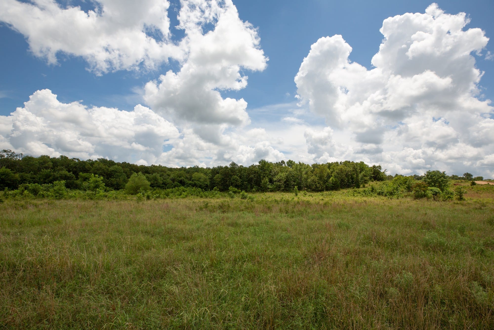 Paradise Valley Tract 9 photo 9