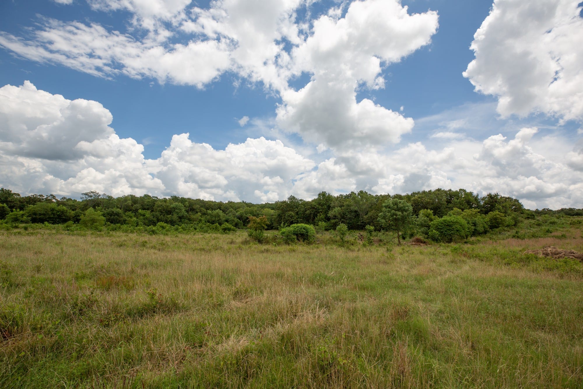 Paradise Valley Tract 9 photo 10