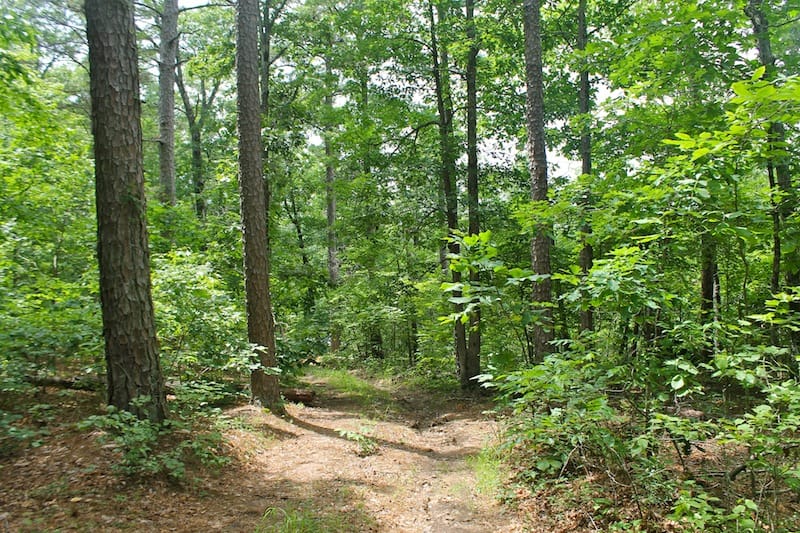 Green Mountain Ranch Tract 54 photo 6