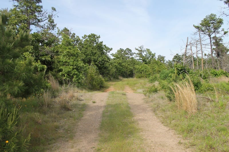 Indian Ridge – Phase II Tract 49 photo 1