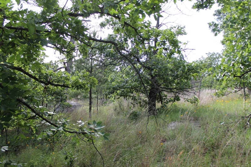Indian Ridge – Phase II Tract 49 photo 3