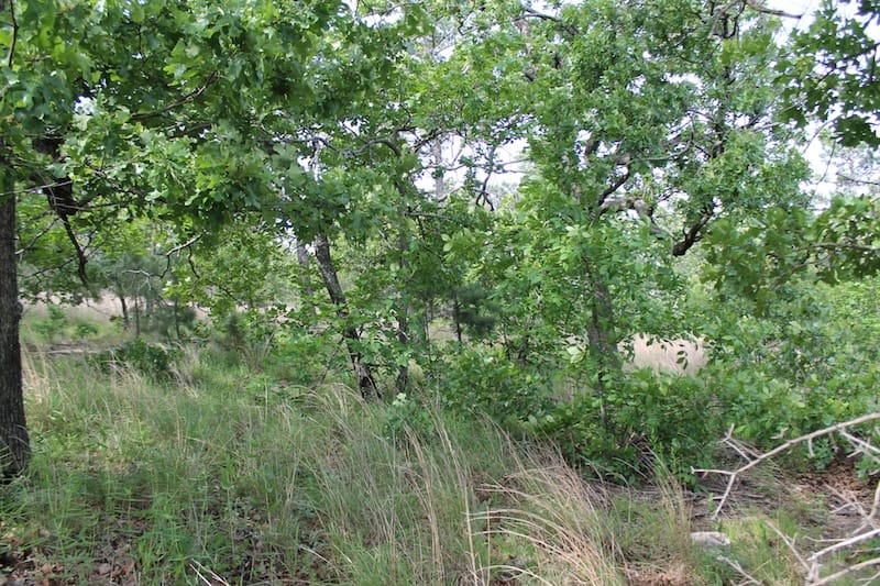 Indian Ridge – Phase II Tract 49 photo 5