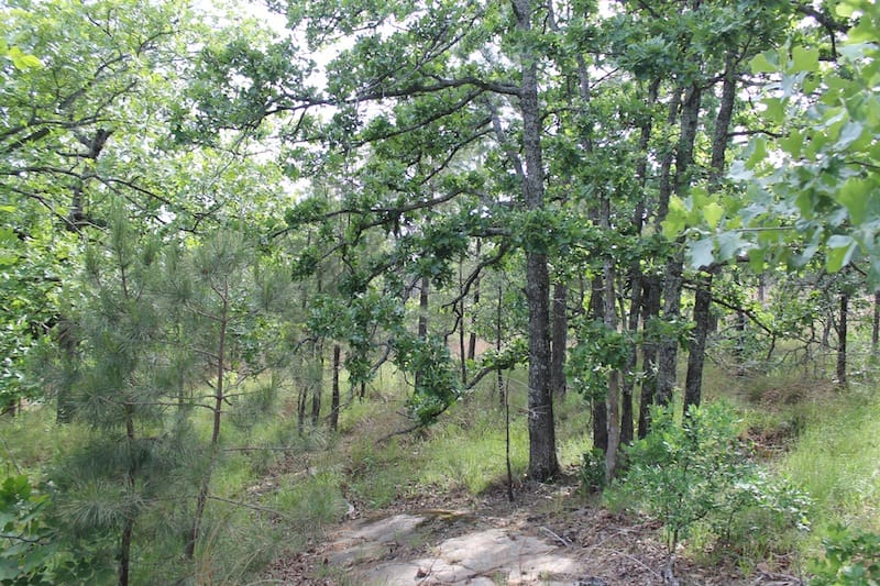 Indian Ridge – Phase II Tract 49 photo 9