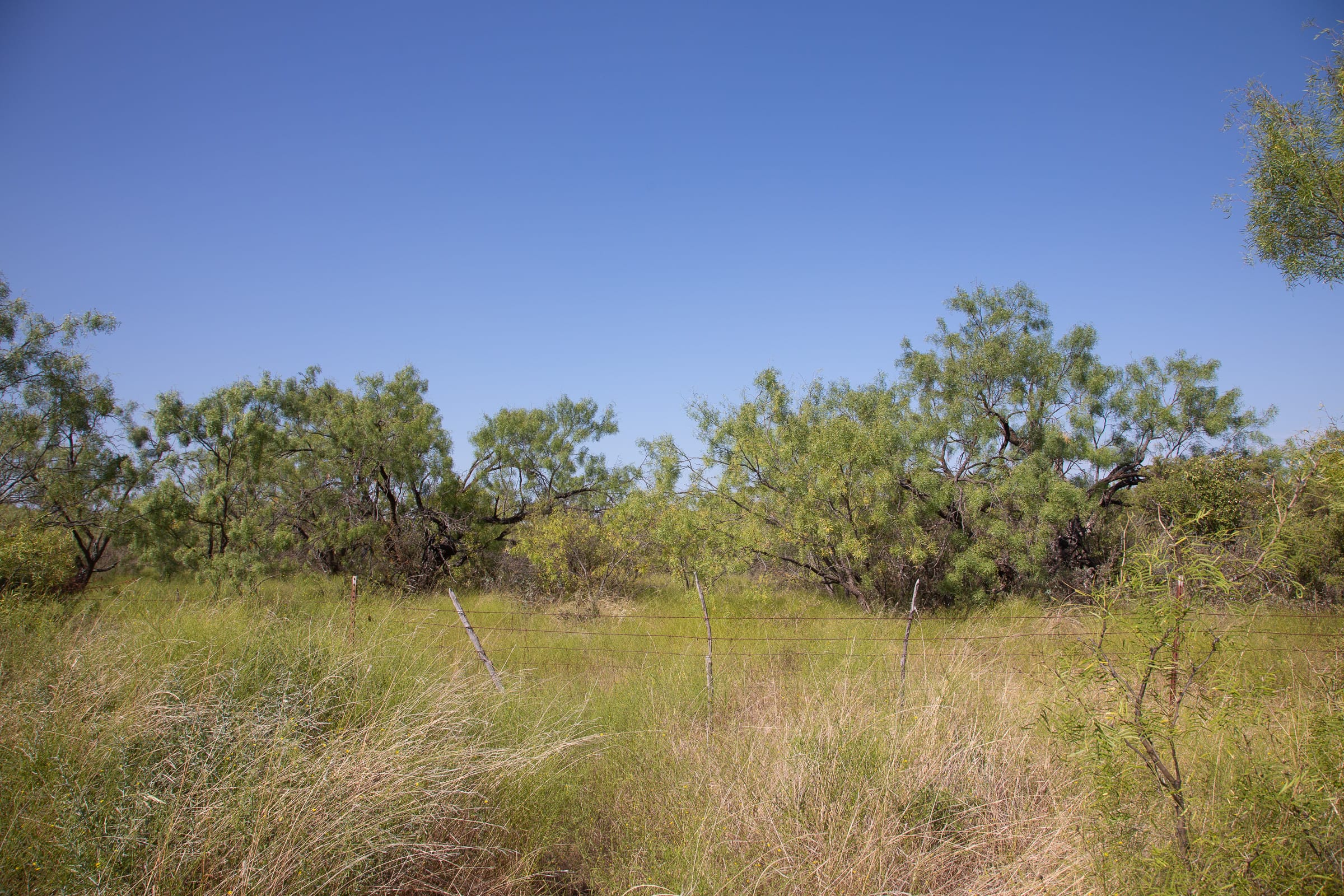 Hunter’s Ranch Tract 11 photo 1