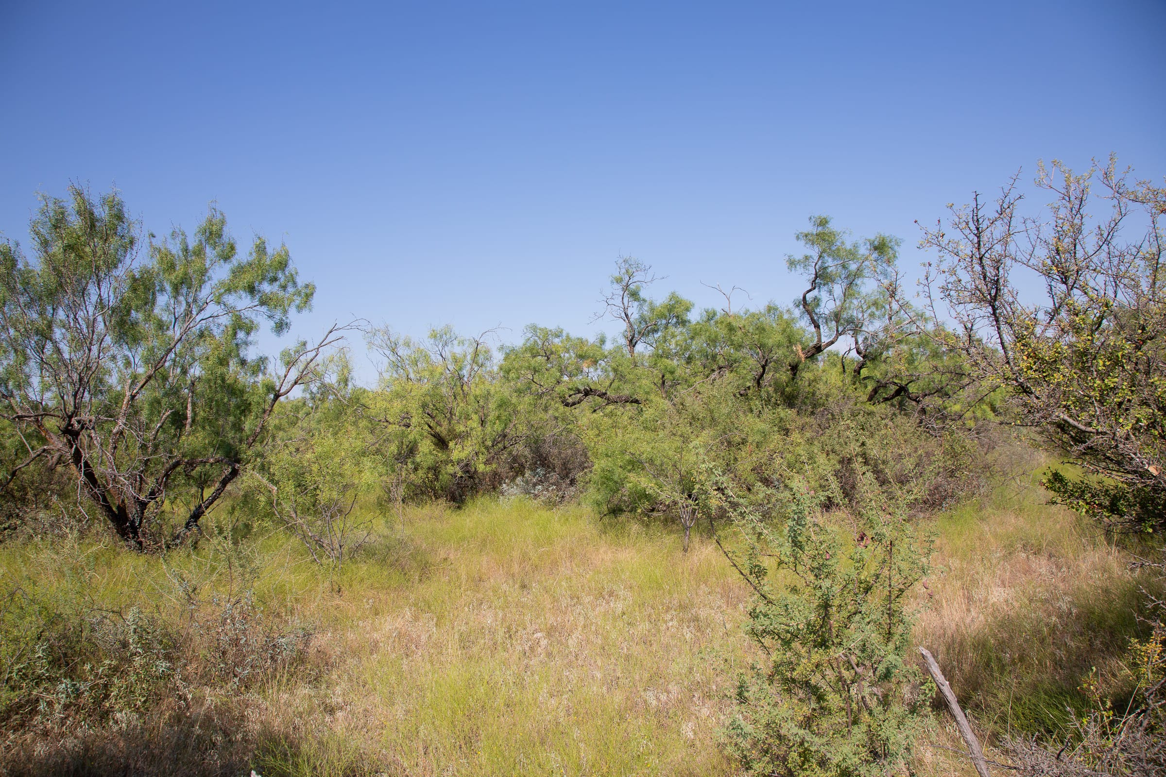 Hunter’s Ranch Tract 11 photo 3