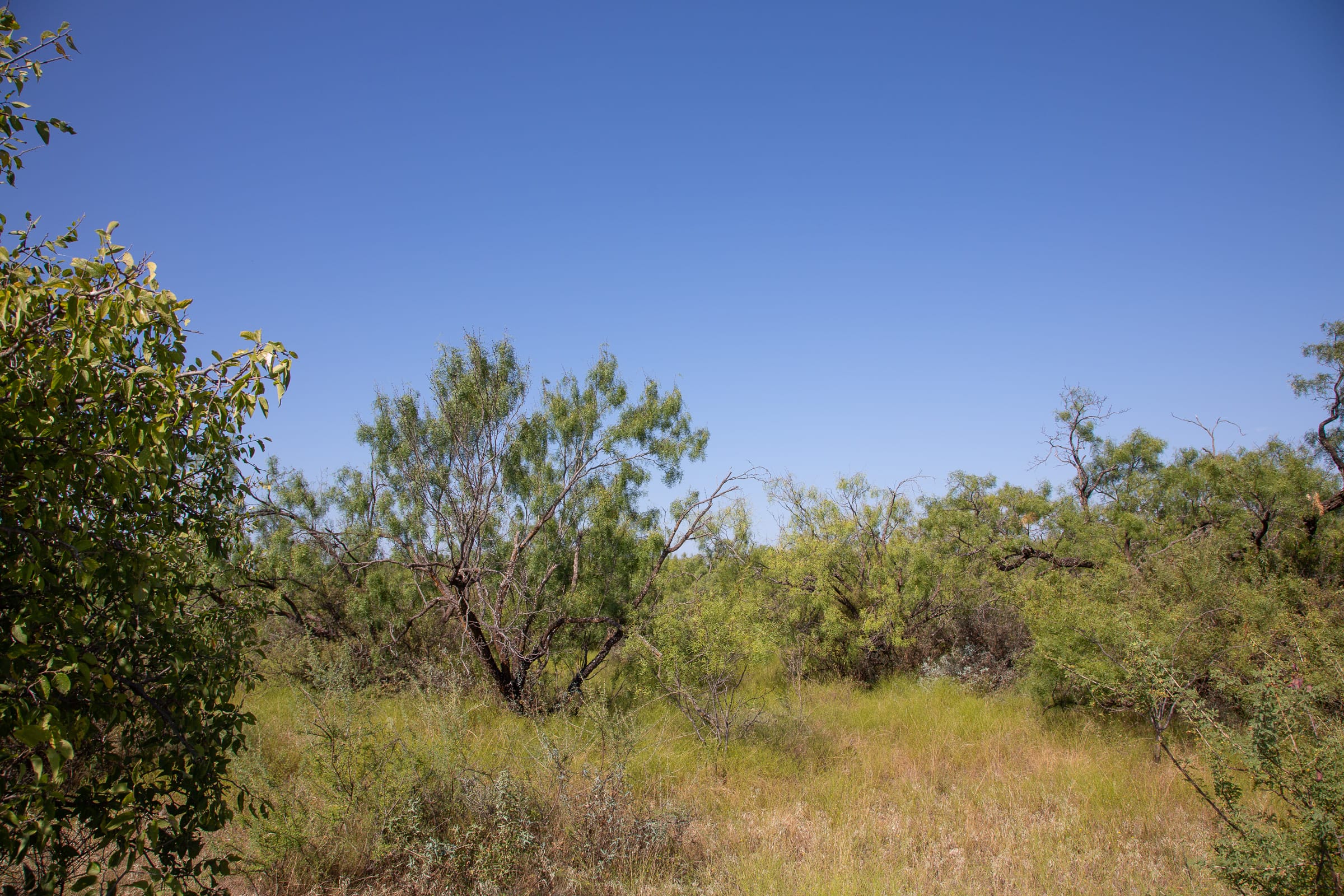 Hunter’s Ranch Tract 11 photo 4