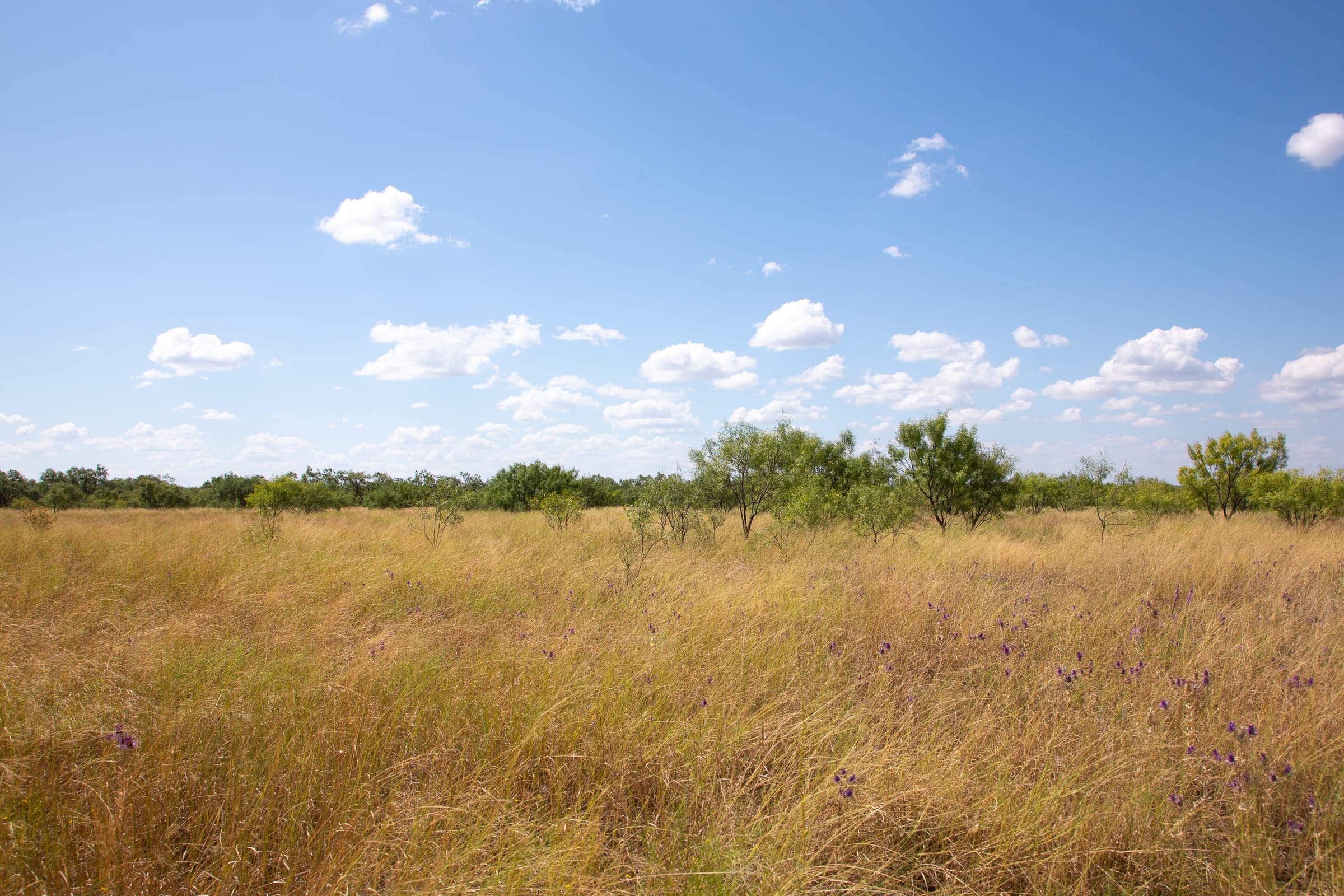 Hunter’s Ranch Tract 11 photo 9