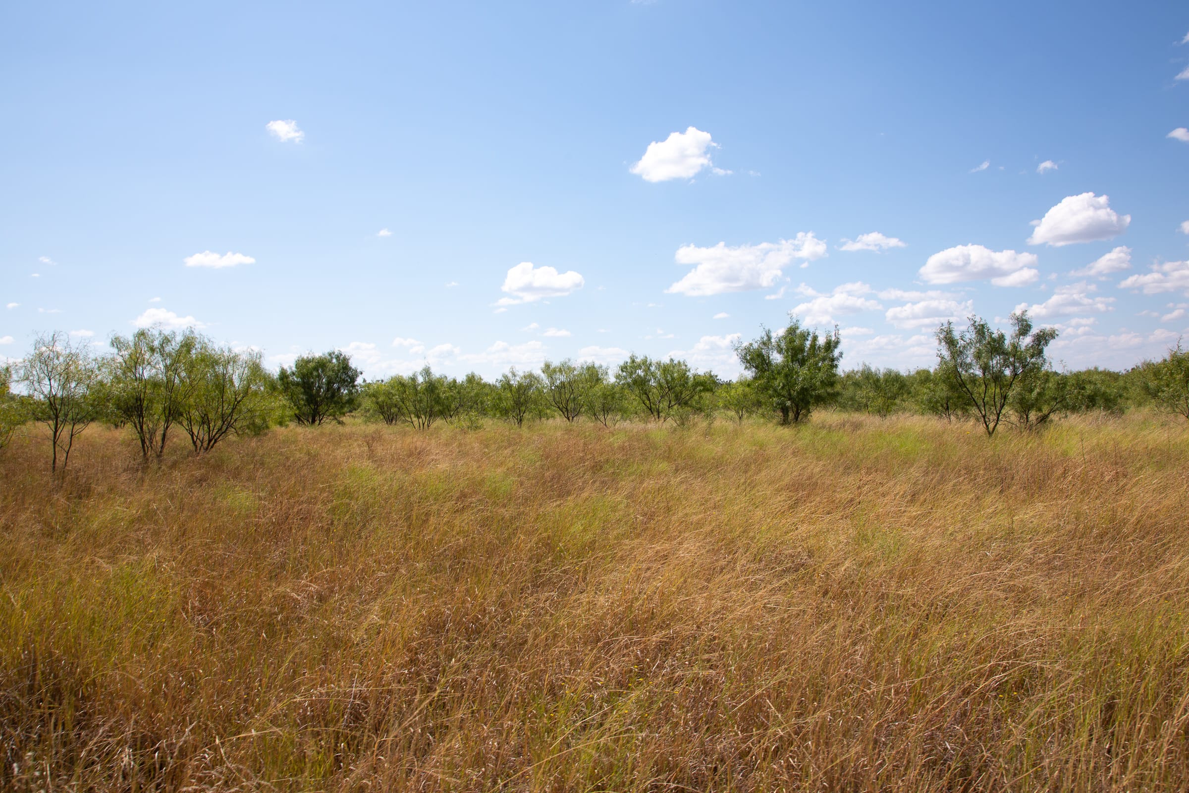 Hunter’s Ranch Tract 11 photo 10