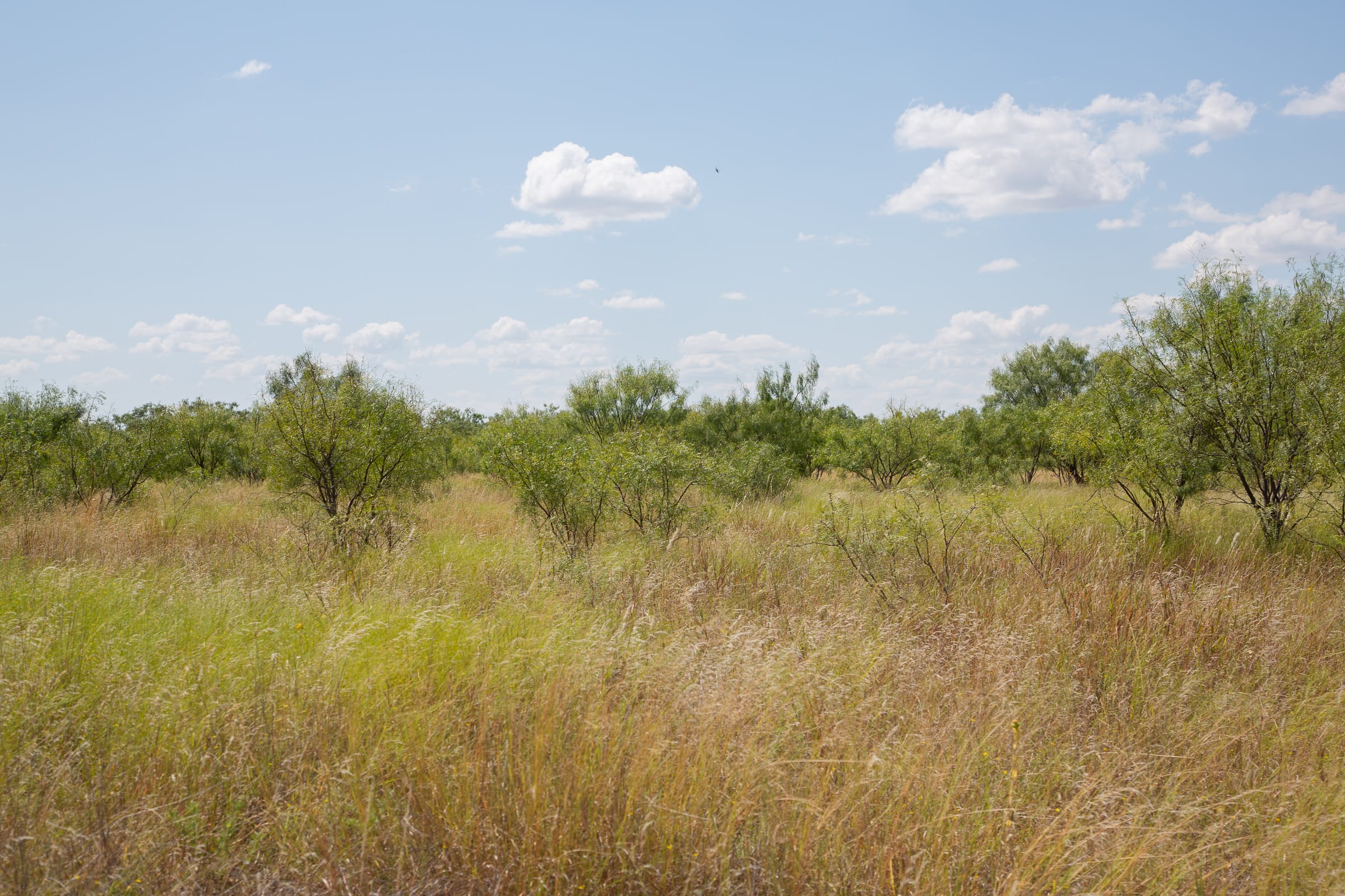 Hunter’s Ranch Tract 11 photo 11