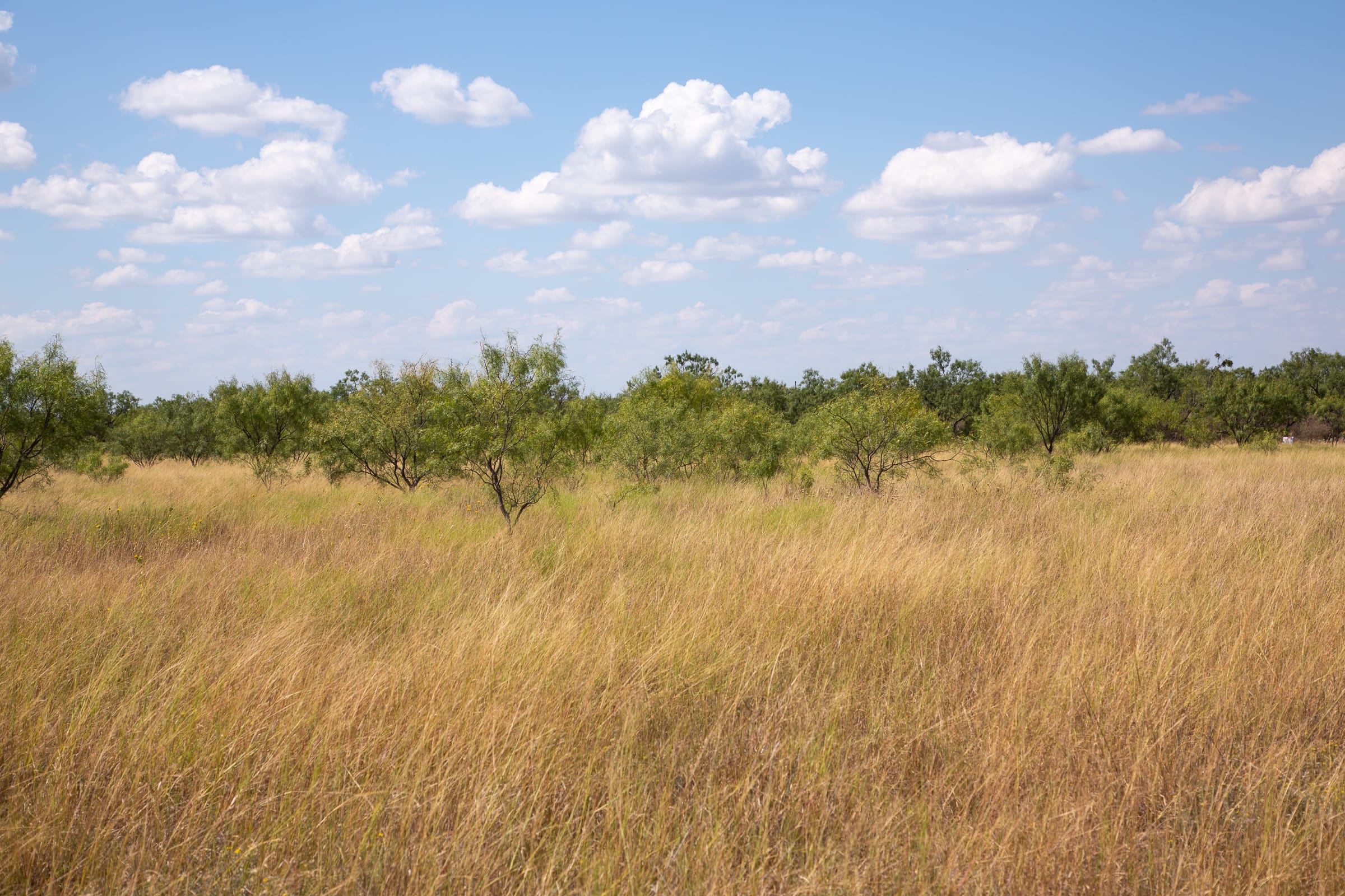 Hunter’s Ranch Tract 11 photo 15