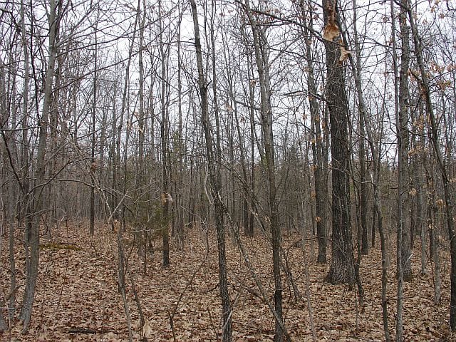 Barnes Hollow Tract 6 photo 3