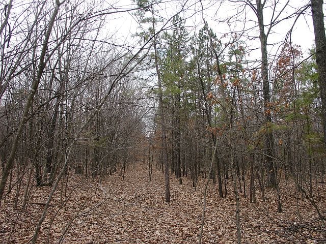 Barnes Hollow Tract 6 photo 5
