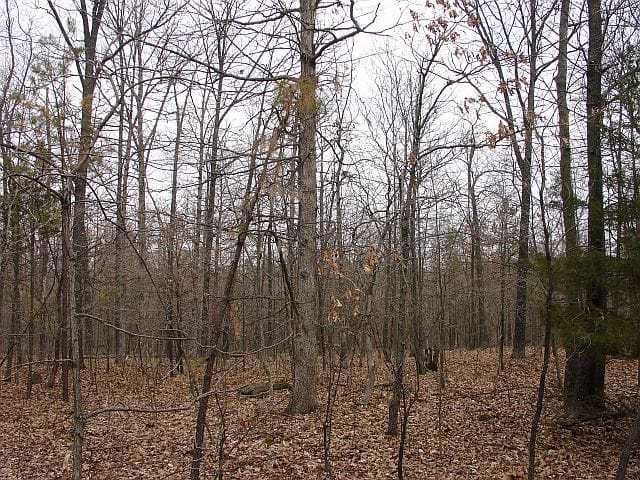 Barnes Hollow Tract 6 photo 7