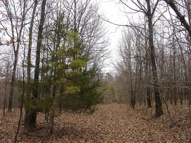 Barnes Hollow Tract 6 photo 8