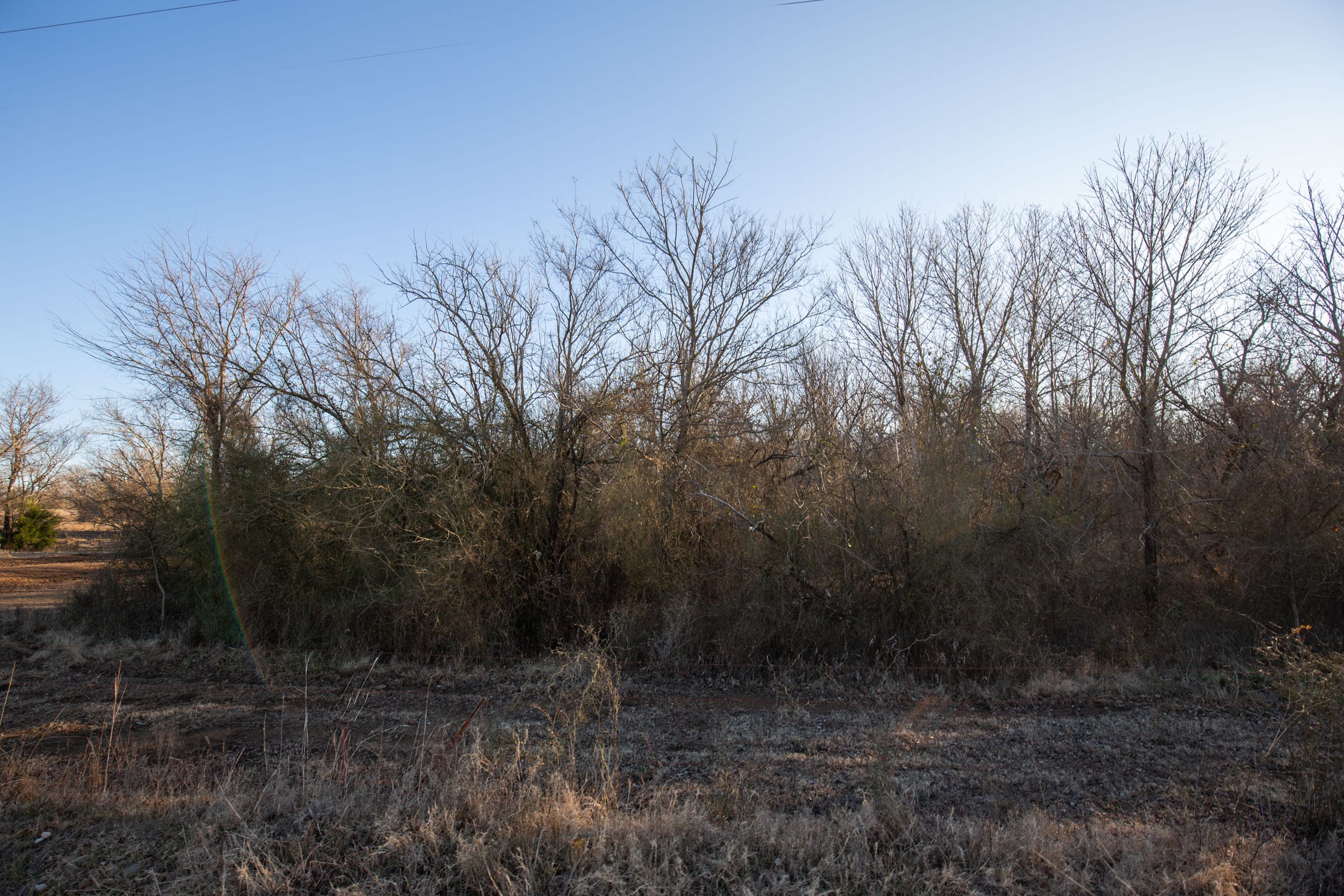 Painted Horse Tract 41 photo 8