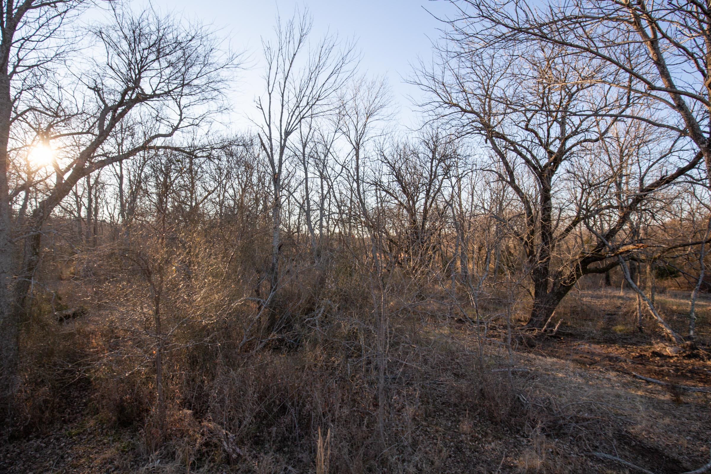 Painted Horse Tract 41 photo 12