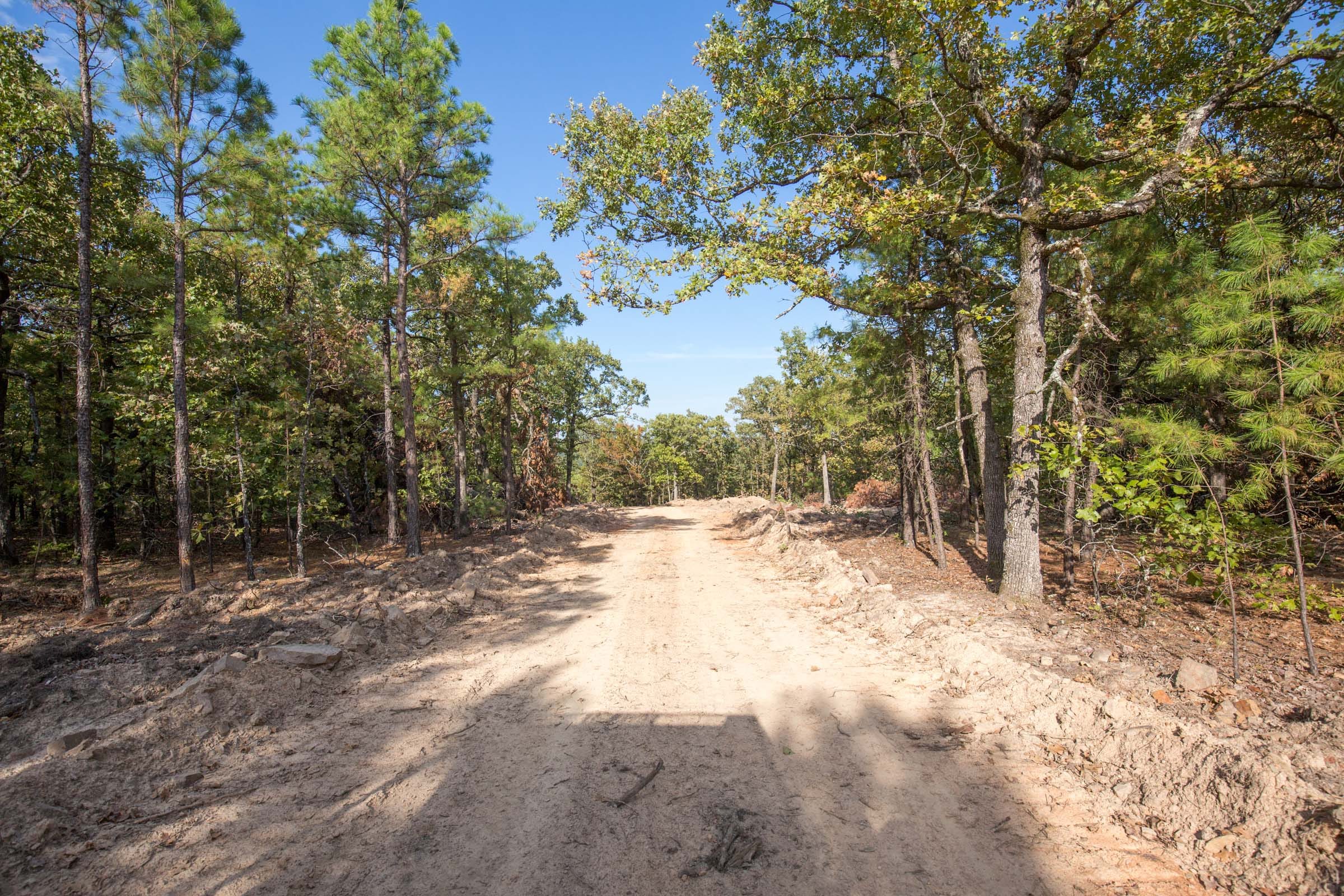 Stone Bridge Phase I Tract 58 photo 5