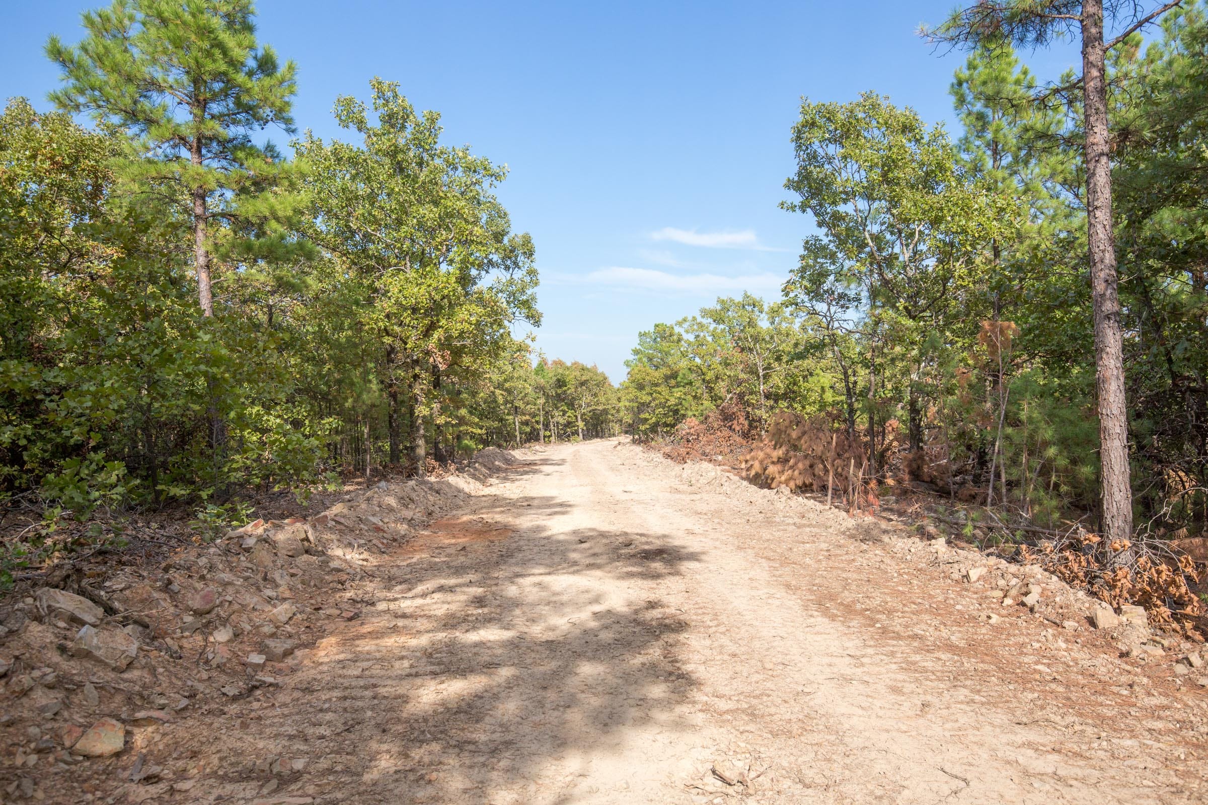 Stone Bridge Phase I Tract 58 photo 10