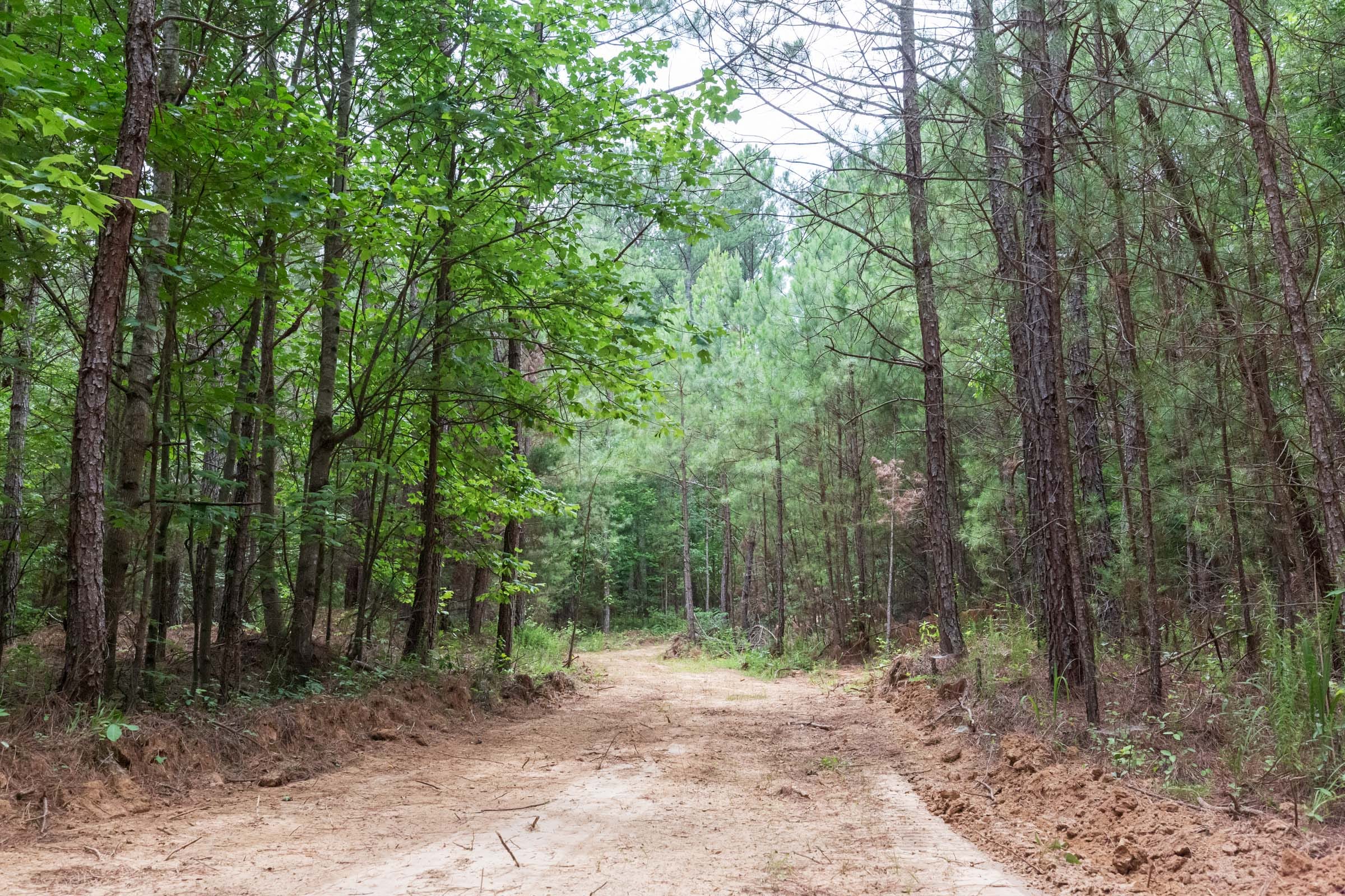 Whiskey Ridge Tract 75 photo 2