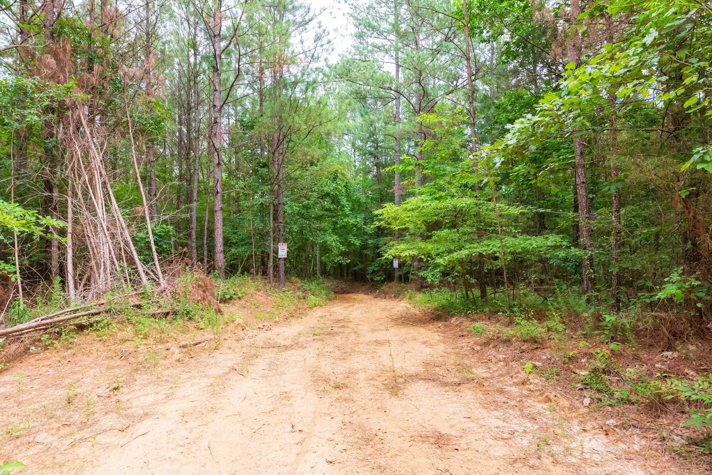 Whiskey Ridge Tract 75 photo 15
