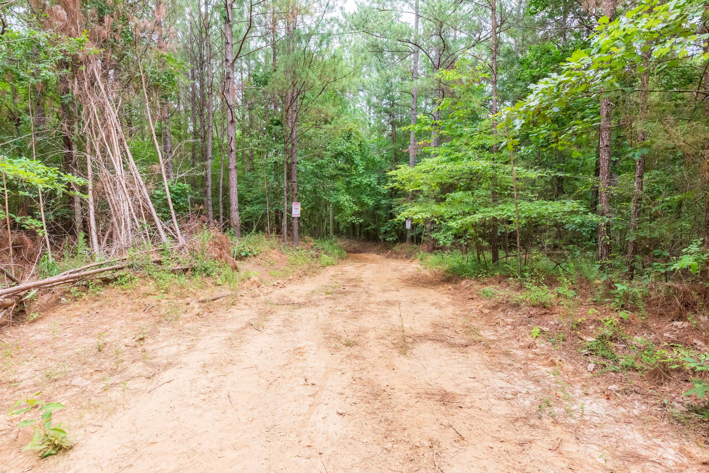 Whiskey Ridge Tract 75 photo 16