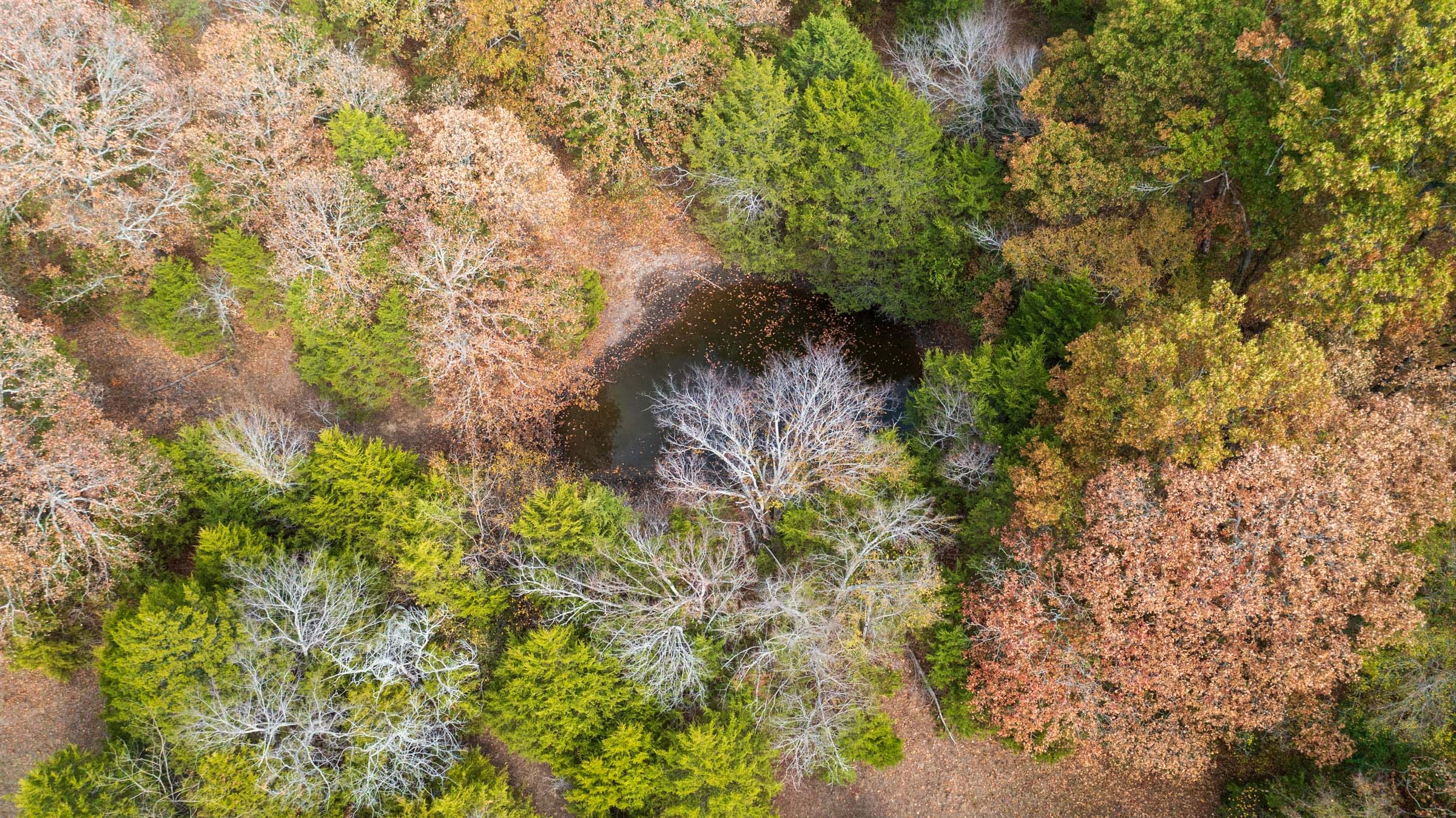 Crystal Springs Tract 2 photo 2