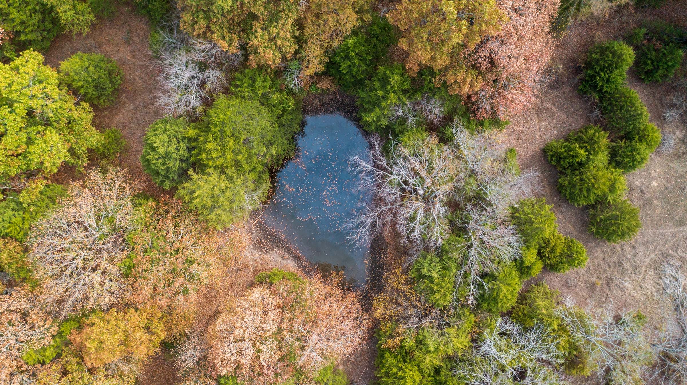 Crystal Springs Tract 2 photo 3
